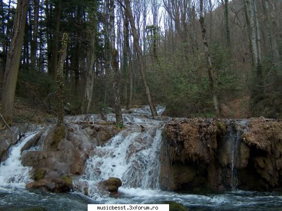 Imagini din Parcul National Cheile Nerei-Beusnita - djady - Fotografia Zilei